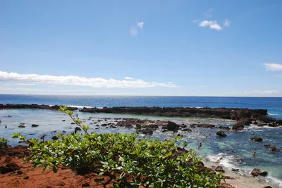 2007_05_30_HAWAII (113) (Large).JPG